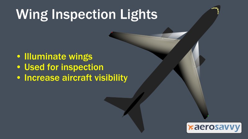 Wing_Inspection.jpg