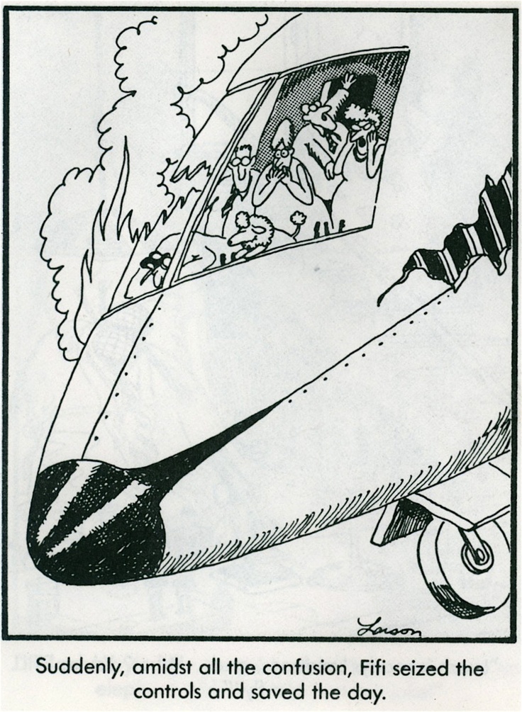 Nothing Funnier Than Being On A Plane Piloted By Captain Gary Larson