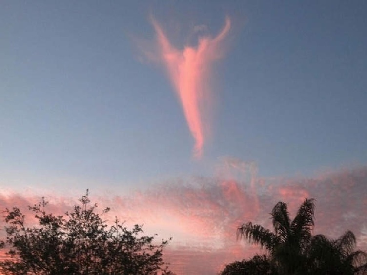 Debunked: Cloud Angel in Florida for the new Pope? | Metabunk